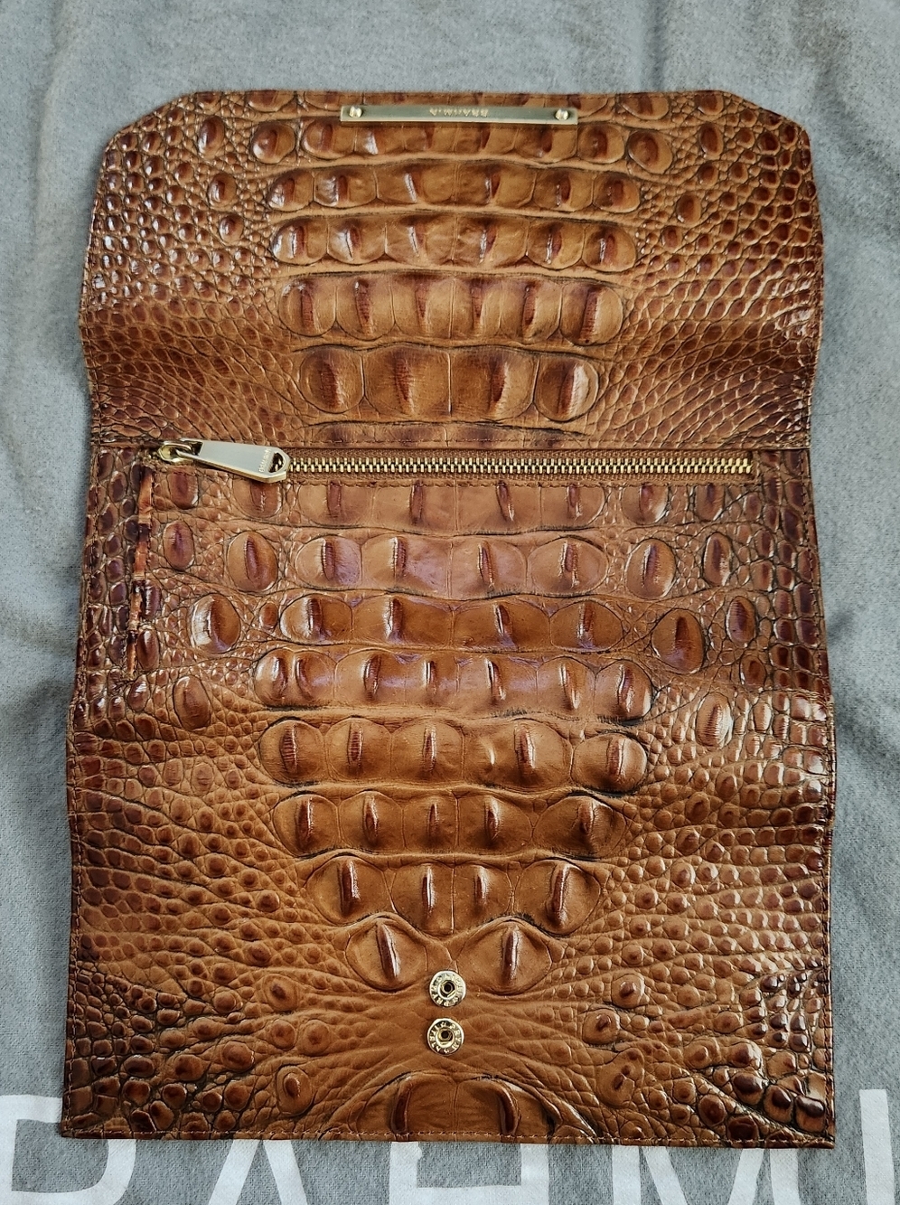 Brahmin Louise Rose Melbourne Satchel - Dillard's ANNIVERSARY EDITION - Picture 15 of 16
